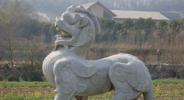 Sydney Airport story